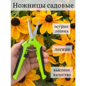 Ножницы садовые для роз, кустов и цветов