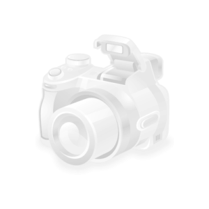 TYC 15A387009B Фонарь подсветки номера для Duster, Kaptur, Logan, Scenic, Fluence, Lada XRAY аналог 8200013577